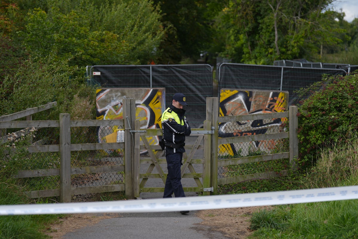 Irish police find skeletal remains in search for missing boy