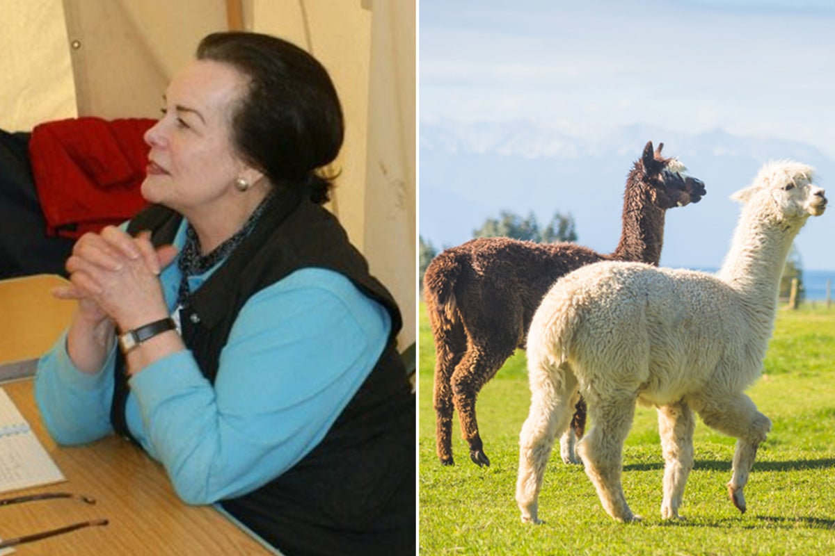 Alpaca, donkey and bear enthusiasts in court over £1.9m will of llama-loving pensioner