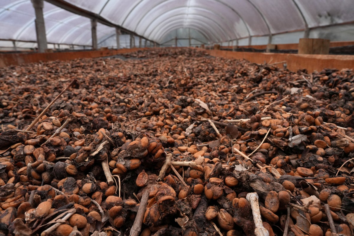 The $1,300 per kilo premium coffee that has dodged US tariffs