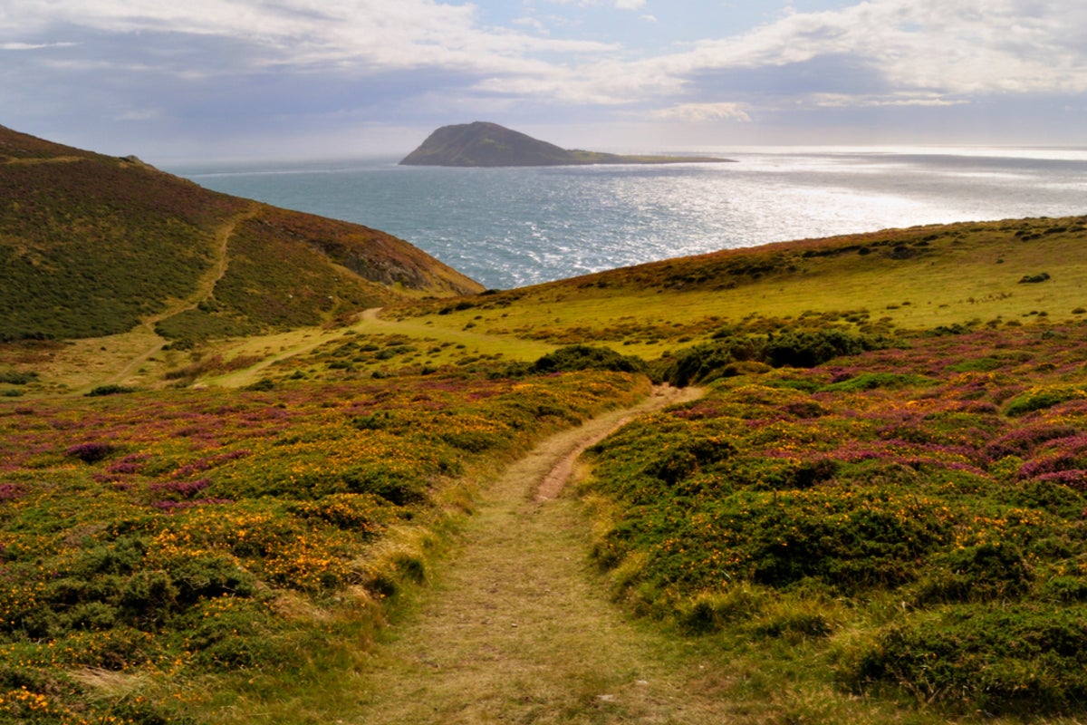 Tiny Welsh island with more sheep than people and no wifi needs new tenants