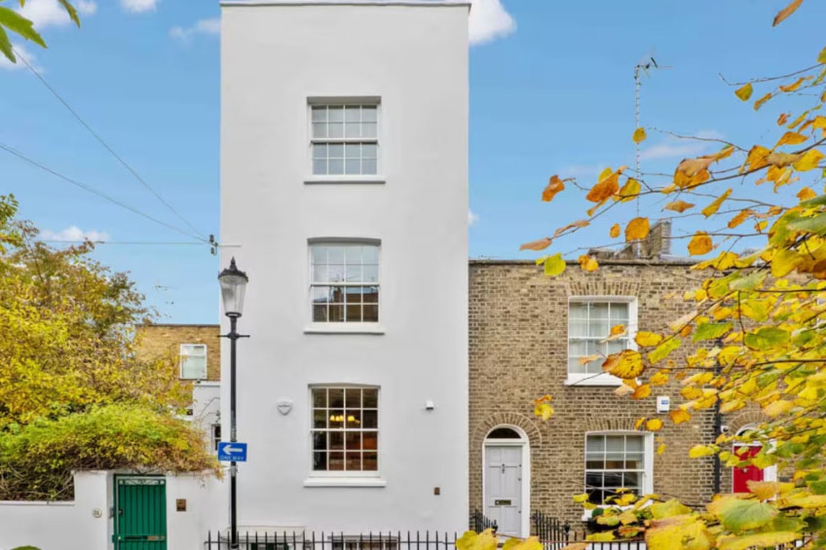 Judge blasts ‘self-absorbed’ son who lost £2.6m court fight with his own mum over London townhouse