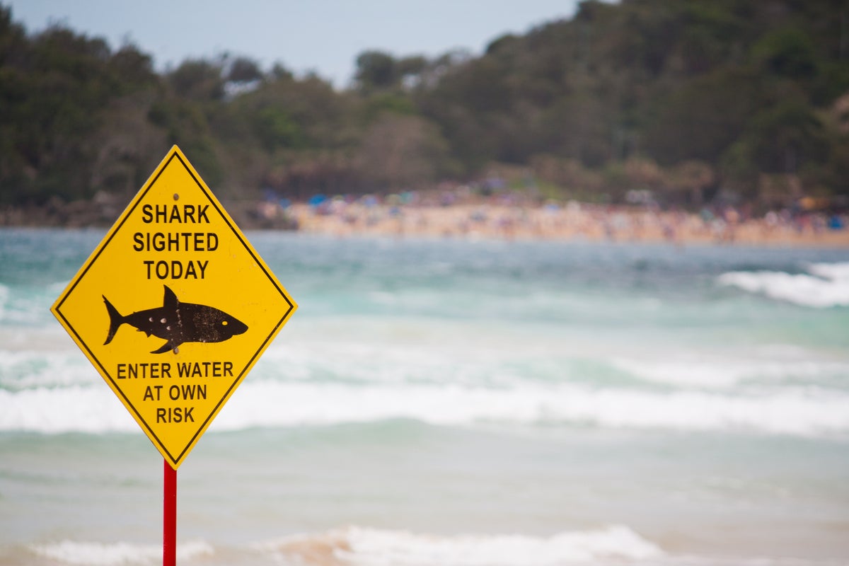 Woman killed and man critically injured in ‘very rare’ double shark attack at remote Australian beach
