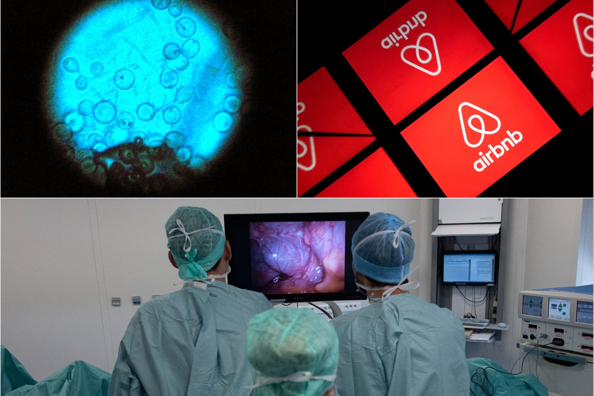 Cancer patient killed by ‘toxic mold’ while recuperating in Airbnb, family says